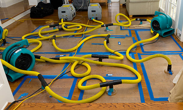 Professional Water Extraction technician working in Albany, NY